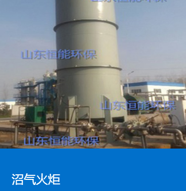 国产精品麻豆成人AV电影脱硫设备